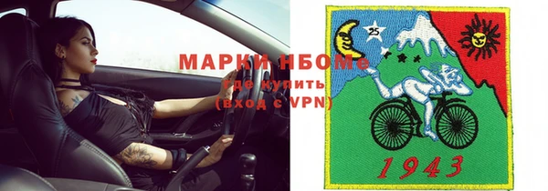 гашик Богданович