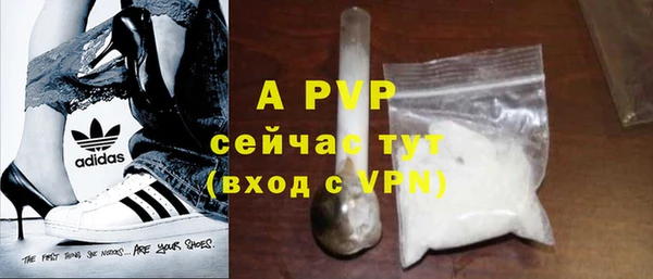 гашик Богданович