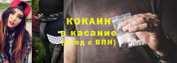 гашик Богданович