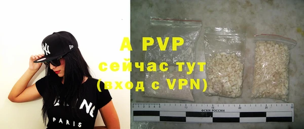 гашик Богданович