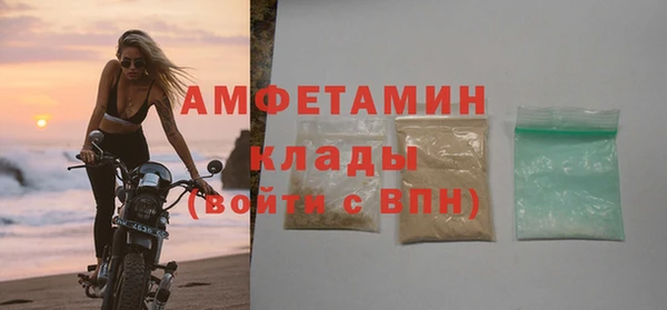 гашик Богданович