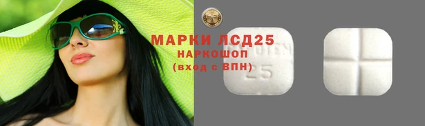гашик Богданович