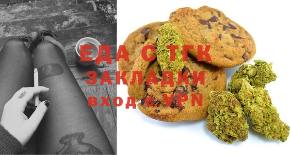 гашик Богданович