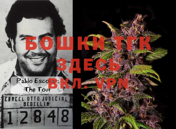 сатива Белокуриха