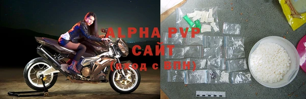 гашик Богданович