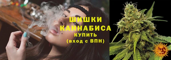 гашик Богданович